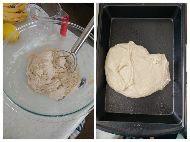 0403181639-COLLAGE.jpg